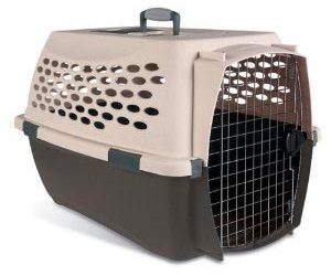Don’t Use a Crate to Punish Your Dog