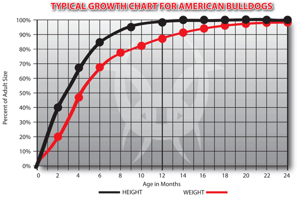 American Bulldog Growth and weight Chart